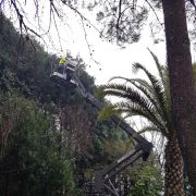 Paisagem Instantânea, Lda - Guimarães - Handyman