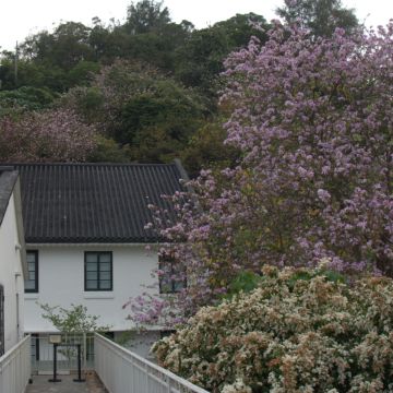 King Yaba - Montijo - Wedding DJ