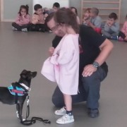Happy Dogs Happier Families - Vila Nova de Gaia - Treino de Cães - Programa Board and Train