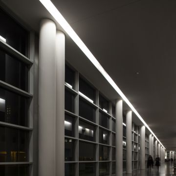 Daniel Miranda - Barcelos - Photographer