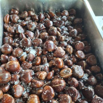 Olga² - Setúbal - Catering de comidas de empresa