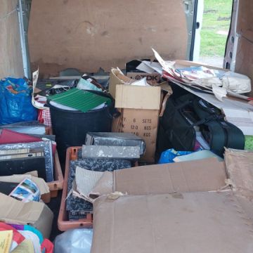 Home Reset - Mealhada - Entfernung von Gebüsch- und Baumaufwuchs