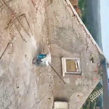 Ricardo Lino - Proença-a-Nova - Drywall Installation and Hanging