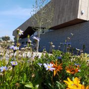 Paisagem Instantânea, Lda - Guimarães - Remoção de Ervas Daninhas