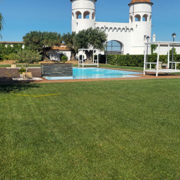 Sampaio Jardins Garden Lda - Redondo - Remoção de Tronco de Árvore