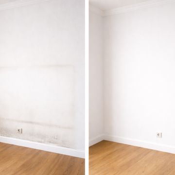 Liana - Lisboa - Cabinet Painting