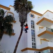 Sampaio Jardins Garden Lda - Redondo - Nivelação de Terreno - Grande Dimensão (mais de 1 hectar)