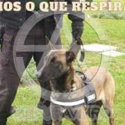 josecunha.pt - Ílhavo - Servicios de guardias de seguridad