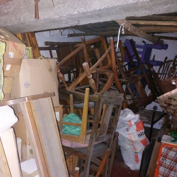 Home Reset - Mealhada - Baumpflege