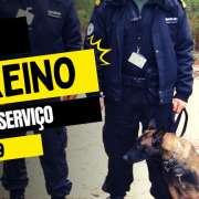 josecunha.pt - Ílhavo - Servicios de guardias de seguridad