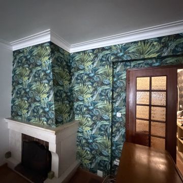 Jonathan cruz - Lisboa - Remoção de Papel de Parede