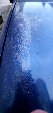 Car Painter - Auto Services