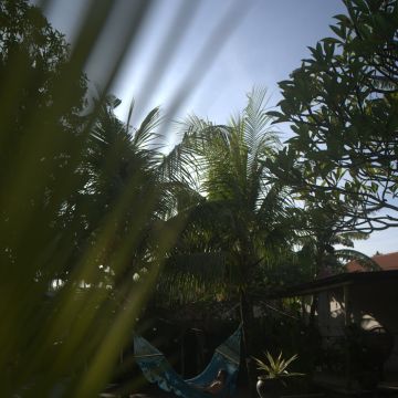 King Yaba - Montijo - Event Animation