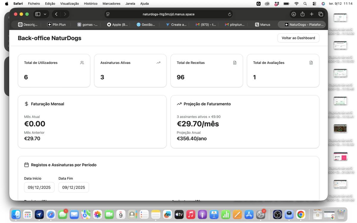 Plin Plun Web Development - Palmela - Blog Design (Website)