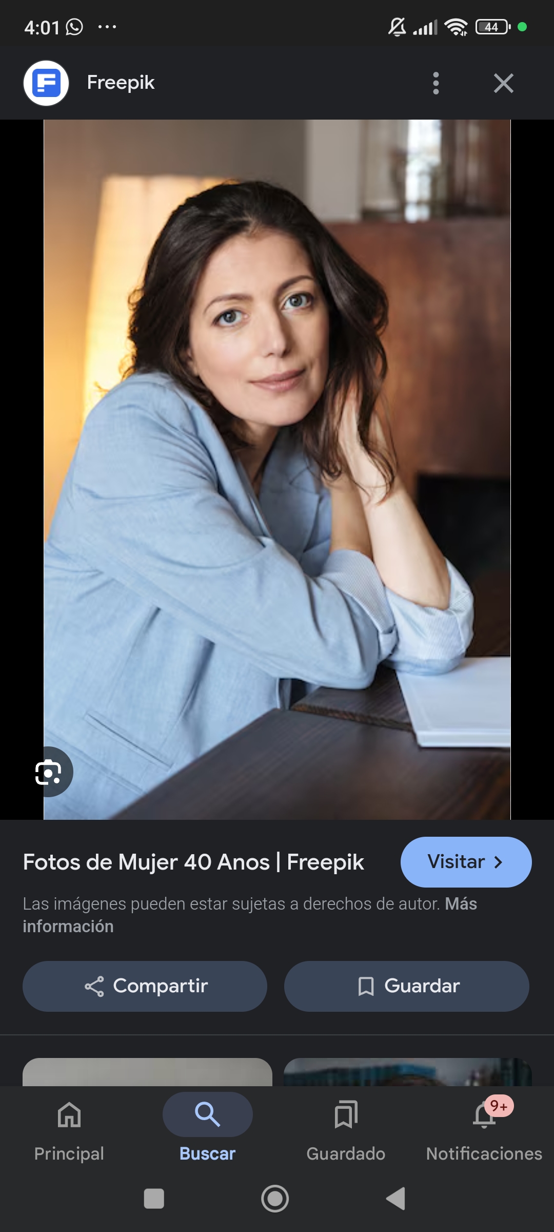 Rosa de dias - Funchal - Nettoyage de stores