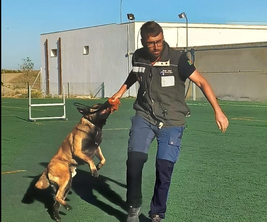 Daniel Mestre - Treinador de cães (dm.treinadorcanino) - Castro Verde - Dog Walking