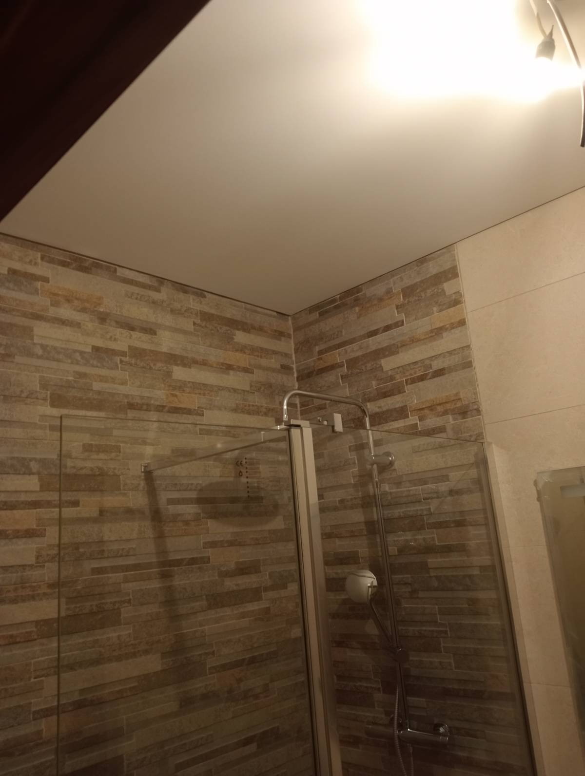 Invictarenovabg - Porto - Installation de clôture pour chiens