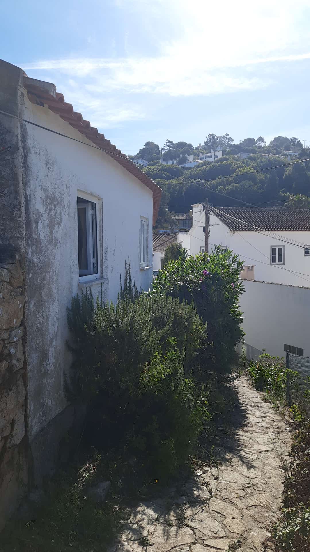 BemMontado & BemCuidado - Lisboa - Paisagismo Exterior