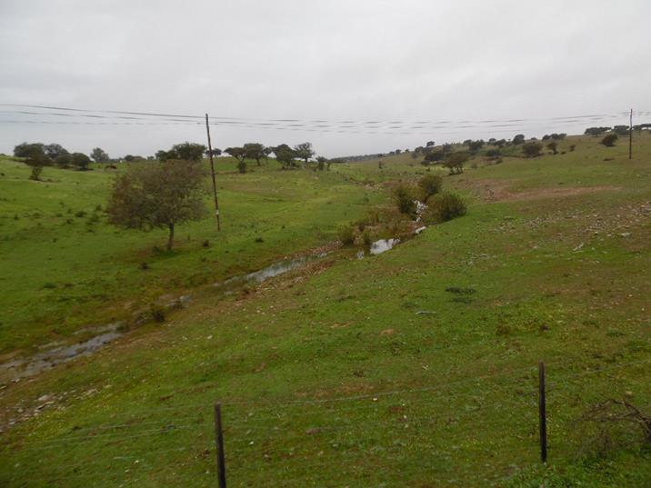 Eng Leonildo Morais - Campo Maior - Grundstücks- und Immobilienbewertung