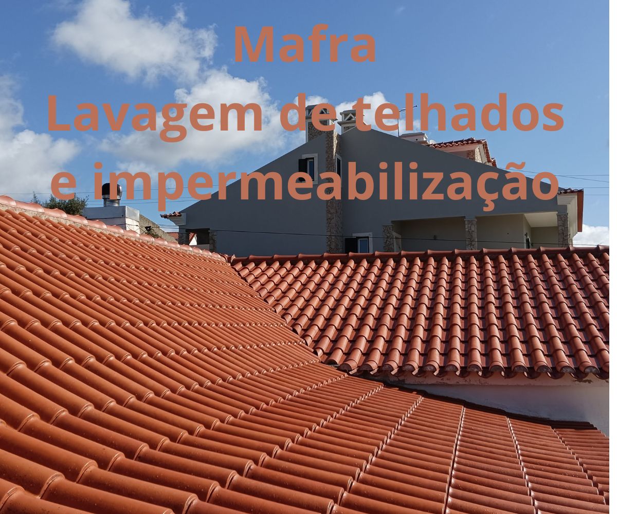 Marcos Souza - Mafra - Pintura de Casas