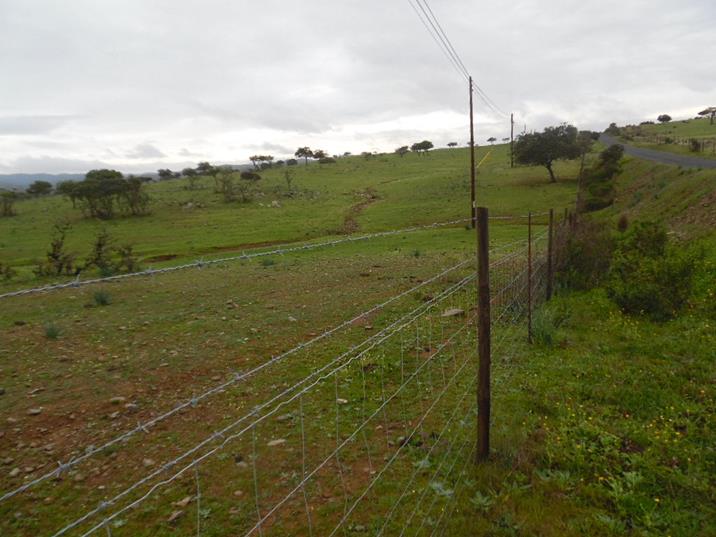 Eng Leonildo Morais - Campo Maior - Immobilien
