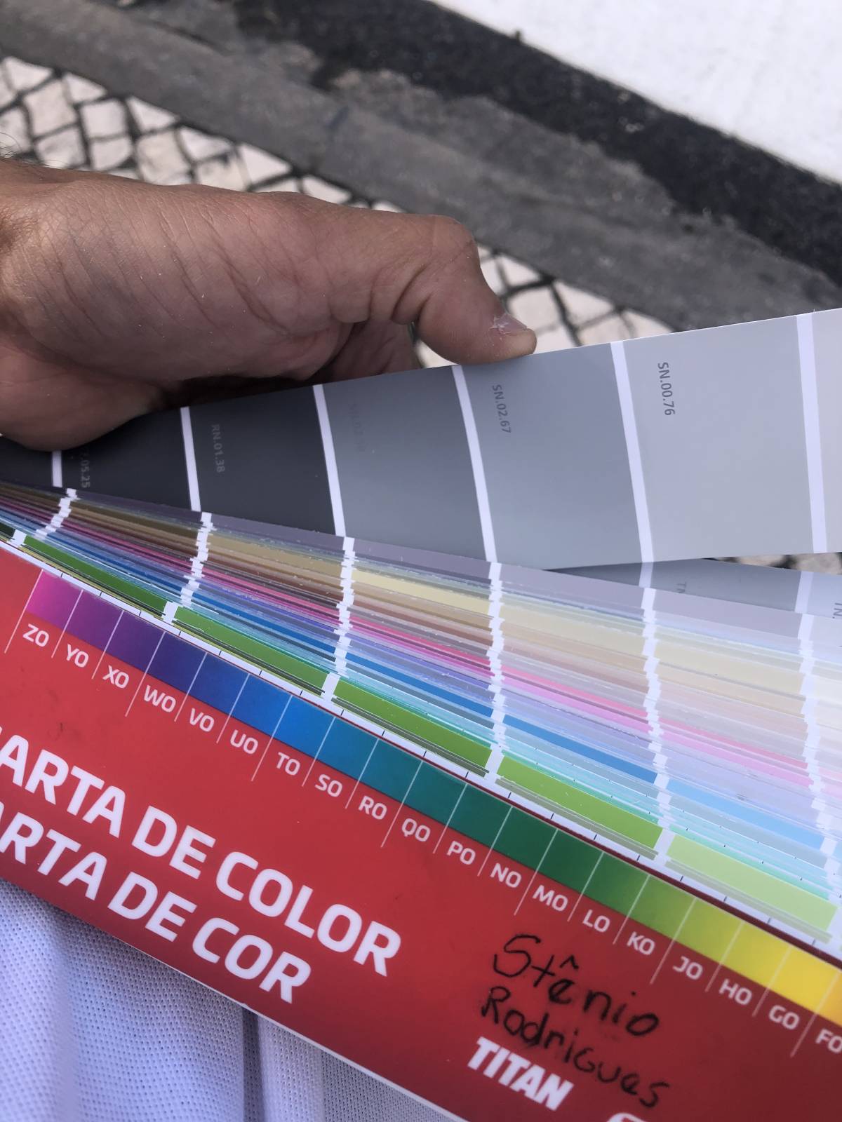 Stenio Rodrigues pinturas - Leiria - Door Painting