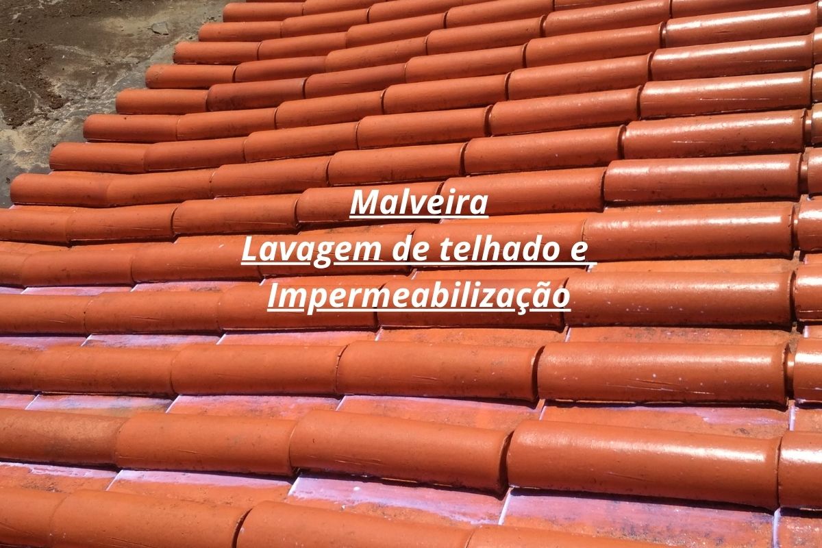 Marcos Souza - Mafra - Limpeza de Telhado