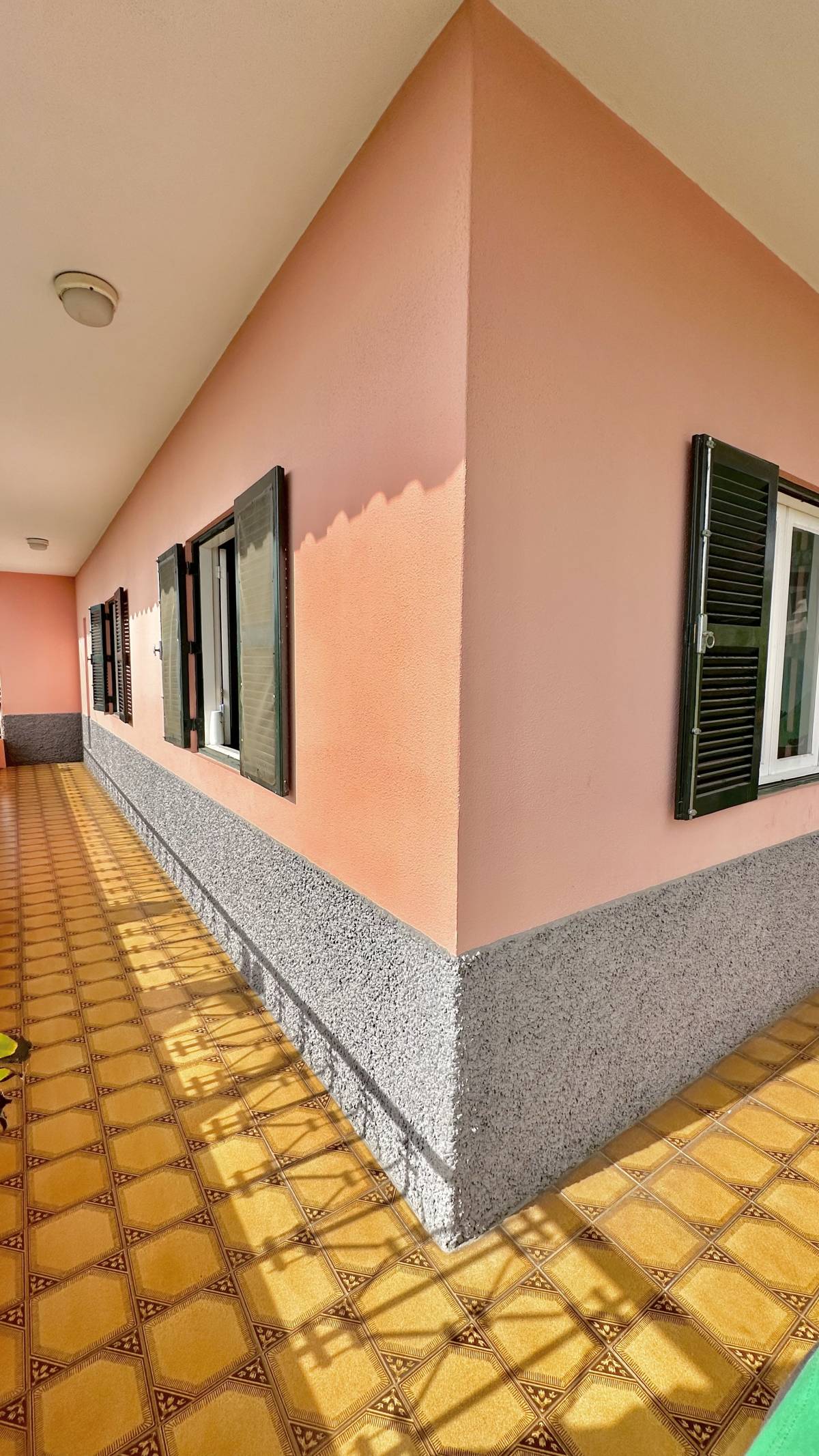 Guardião Pet - Funchal - Dog Daycare