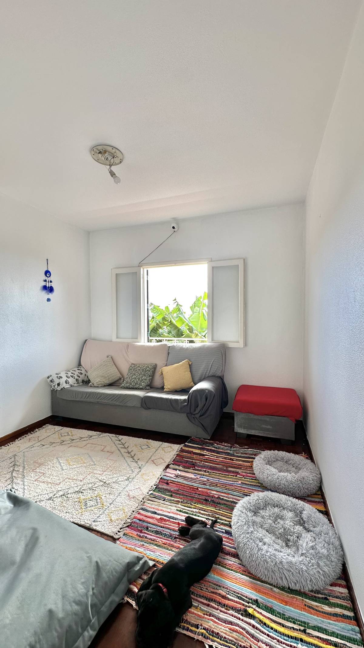 Guardião Pet - Funchal - House Sitting