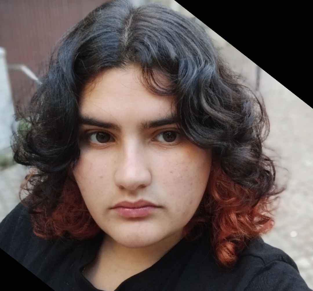 Beatriz Monteiro - Amadora - Cuidar tus mascotas