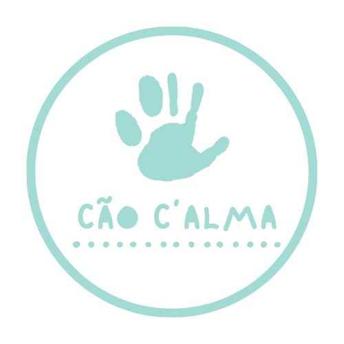 Cão C'alma - Cascais - Cat Sitting