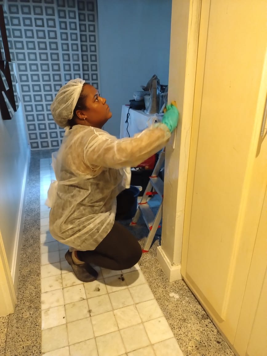 Julia - A Faxina Que Resolve - Condeixa-a-Nova - Deep or Spring Cleaning