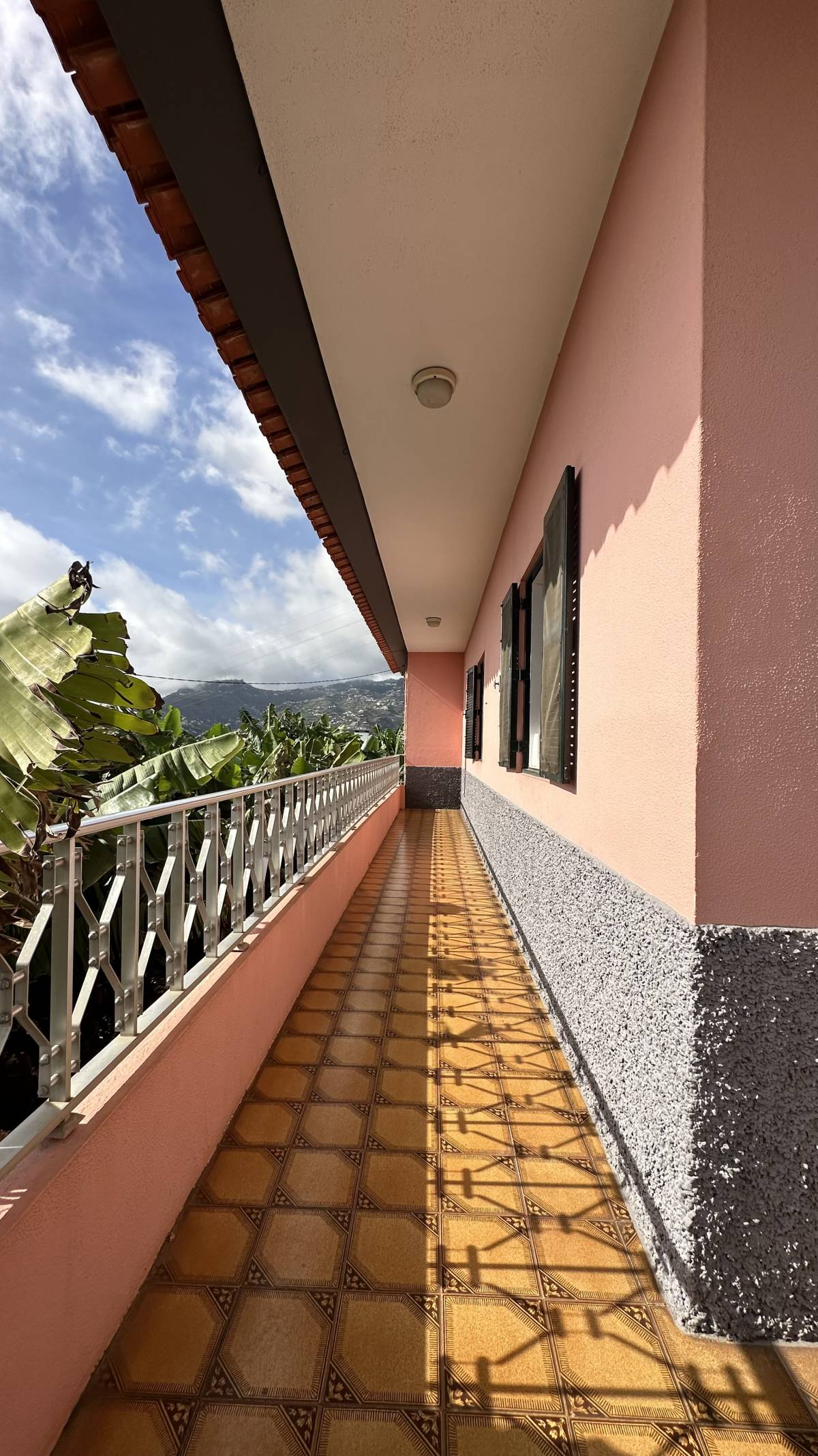 Guardião Pet - Funchal - Dog Daycare