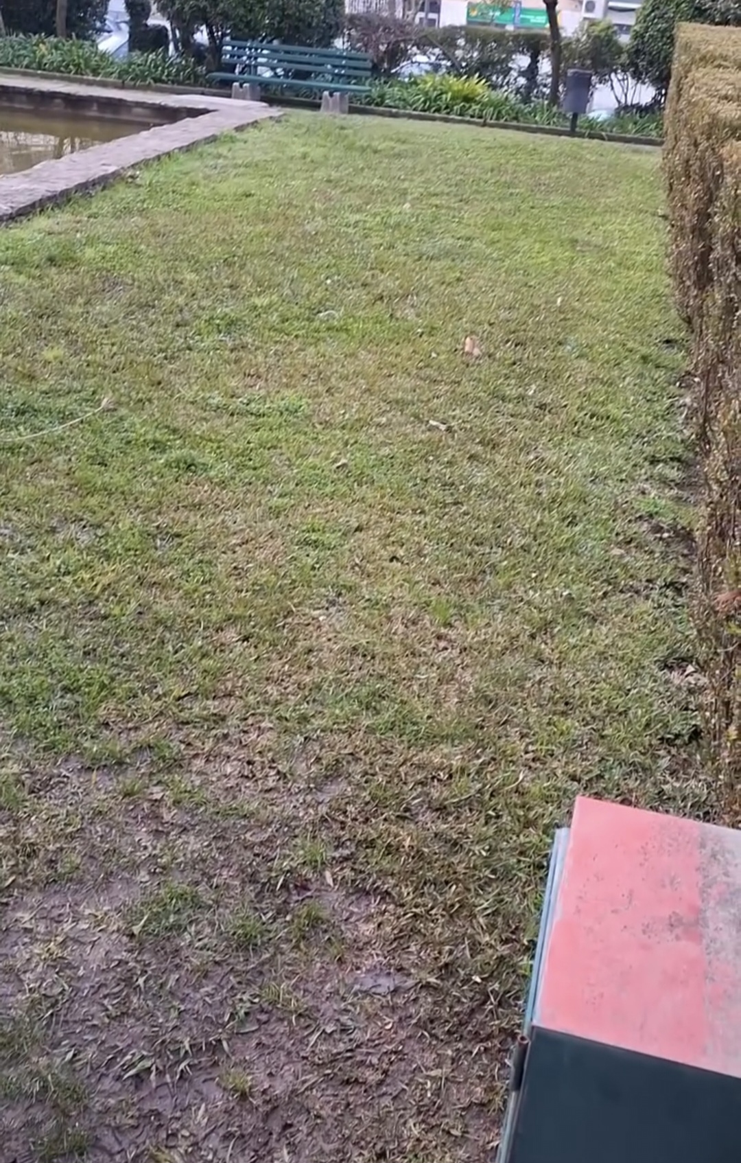 BOMBEIRO JARDINEIRO - Loures - Remoção de Arbustos