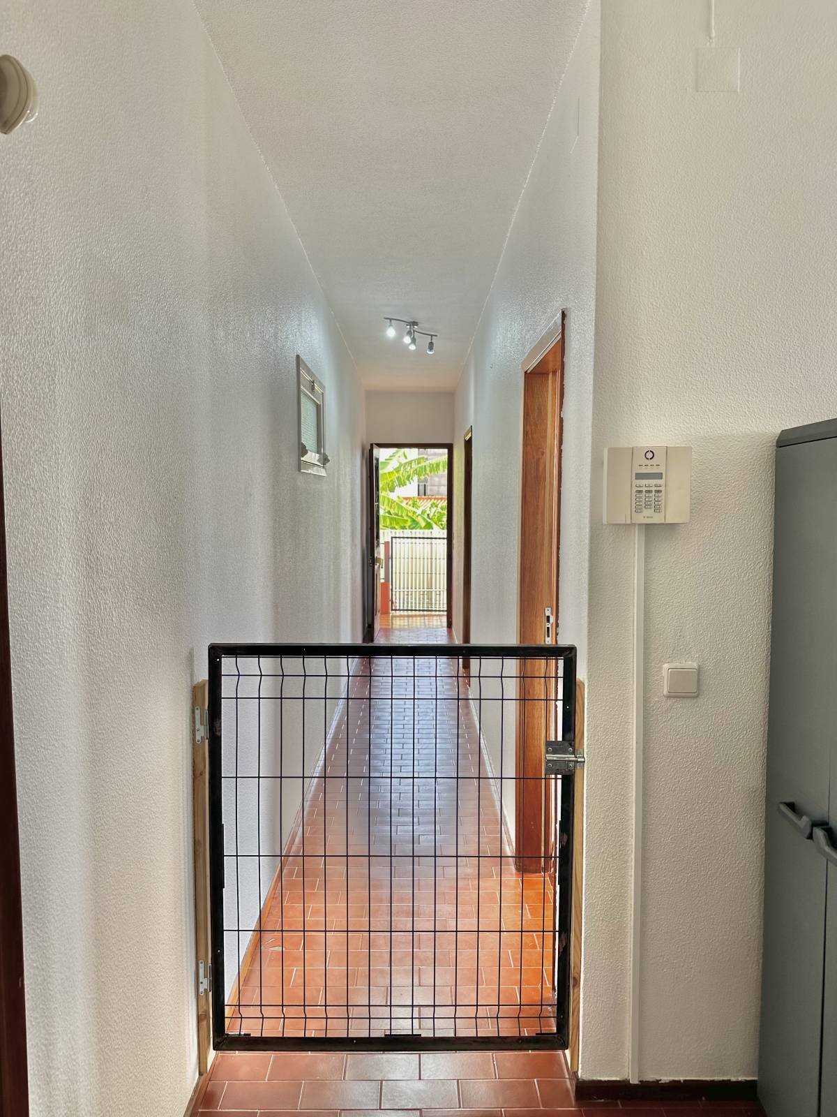 Guardião Pet - Funchal - Pet Hotel