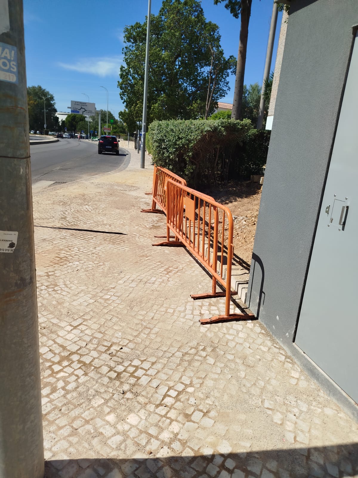 dquels - Faro - Remoção de Tronco de Árvore