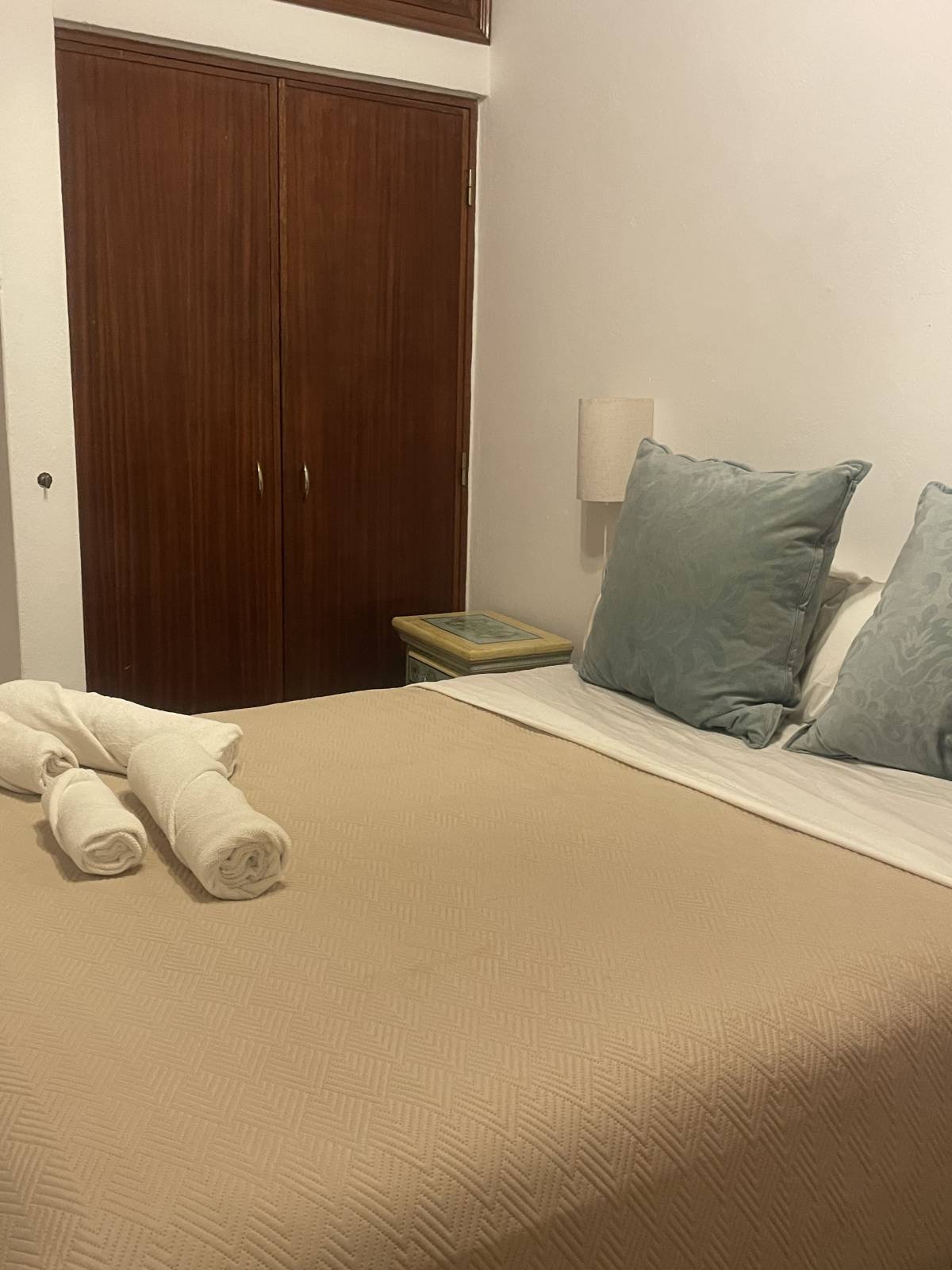 Milly santos - Albufeira - Commercial Cleaning
