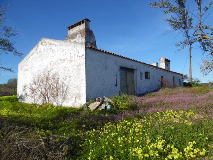 Eng Leonildo Morais - Campo Maior - Immobilien