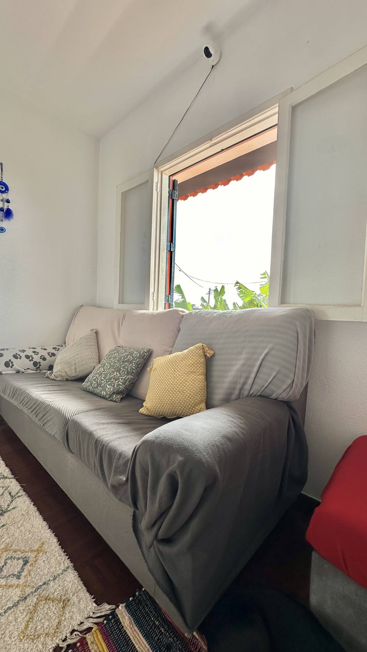 Guardião Pet - Funchal - Pet Hotel