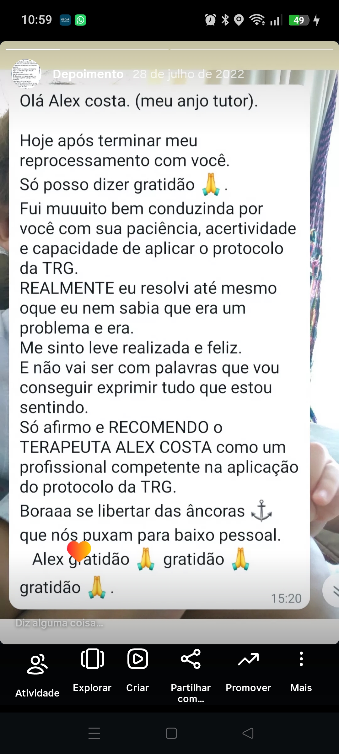 Alex Alfa - Vila Nova de Gaia - Baumpflege
