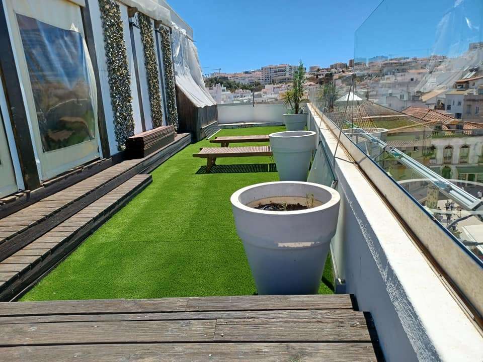 David Cintra - Lagos - Gardening