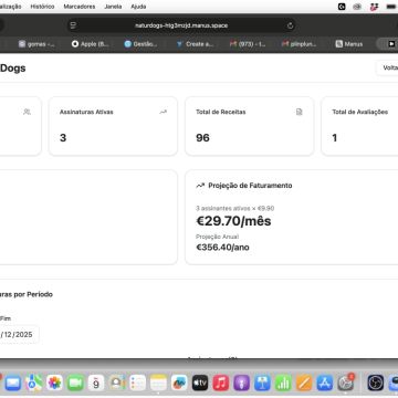 Plin Plun Web Development - Palmela - Blog Design (Website)