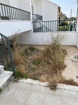 BemMontado & BemCuidado - Lisboa - Limpeza de Telhado
