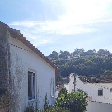 BemMontado & BemCuidado - Lisboa - Paisagismo Exterior