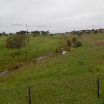 Eng Leonildo Morais - Campo Maior - Grundstücks- und Immobilienbewertung