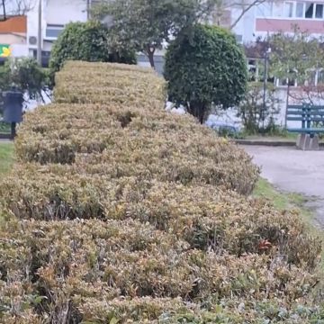BOMBEIRO JARDINEIRO - Loures - Corte e Aparação de Relvado