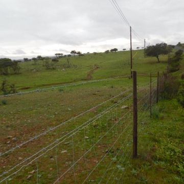Eng Leonildo Morais - Campo Maior - Immobilien