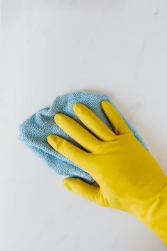 Laura - Coimbra - Deep or Spring Cleaning