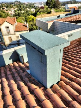 Paiva remodelações - São João da Madeira - Baumstumpf oder -wurzel wegfräsen und entfernen