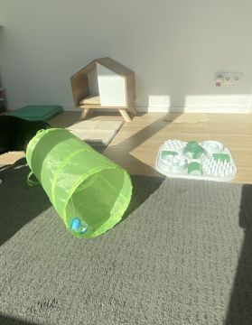 Joana Cunha - Porto - House Sitting